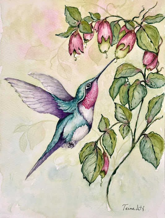 Ruby Neck Hummingbird