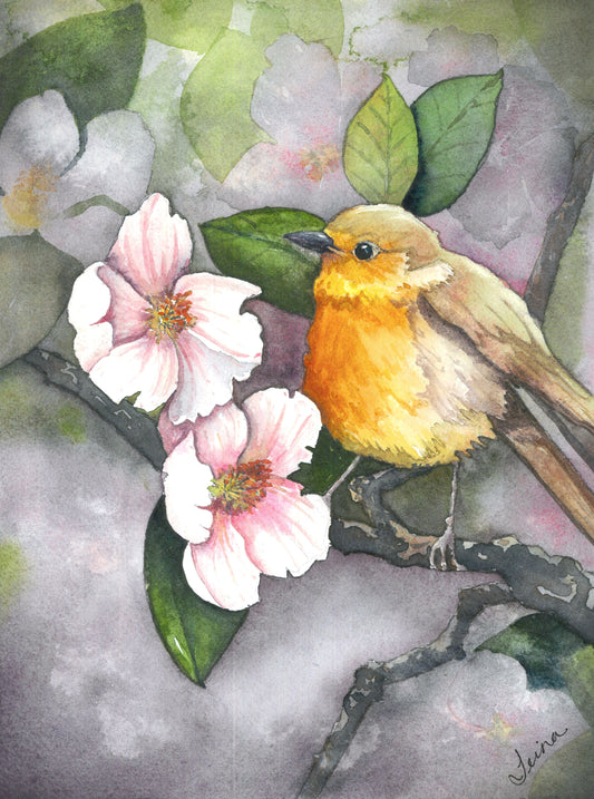 Robin and Pink Magnolias