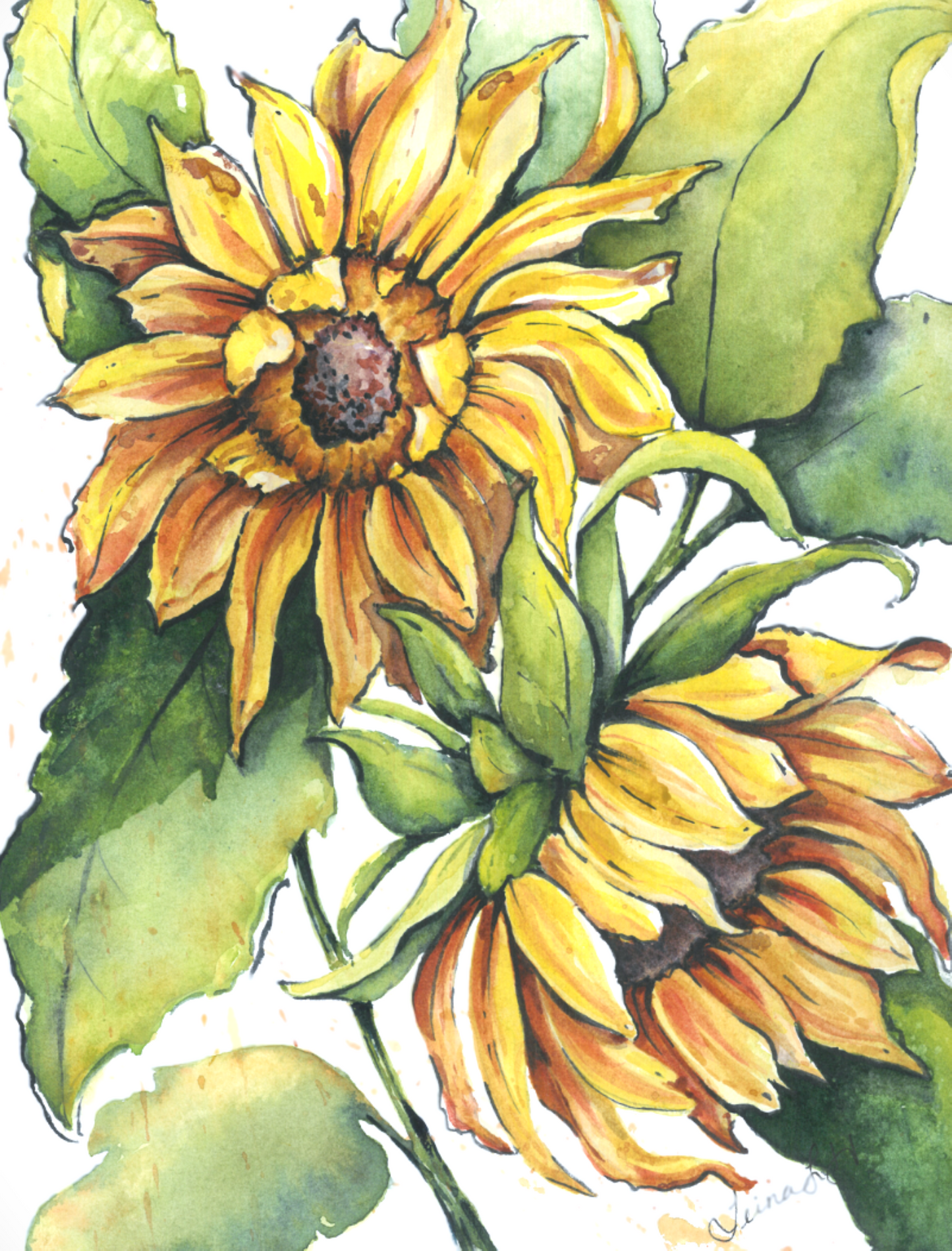 Watercolor Sunflowers